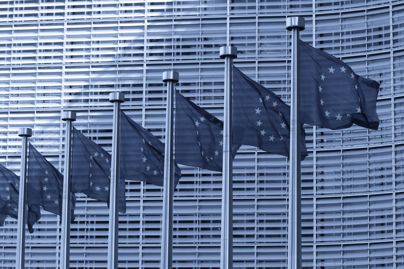 row of european union flags